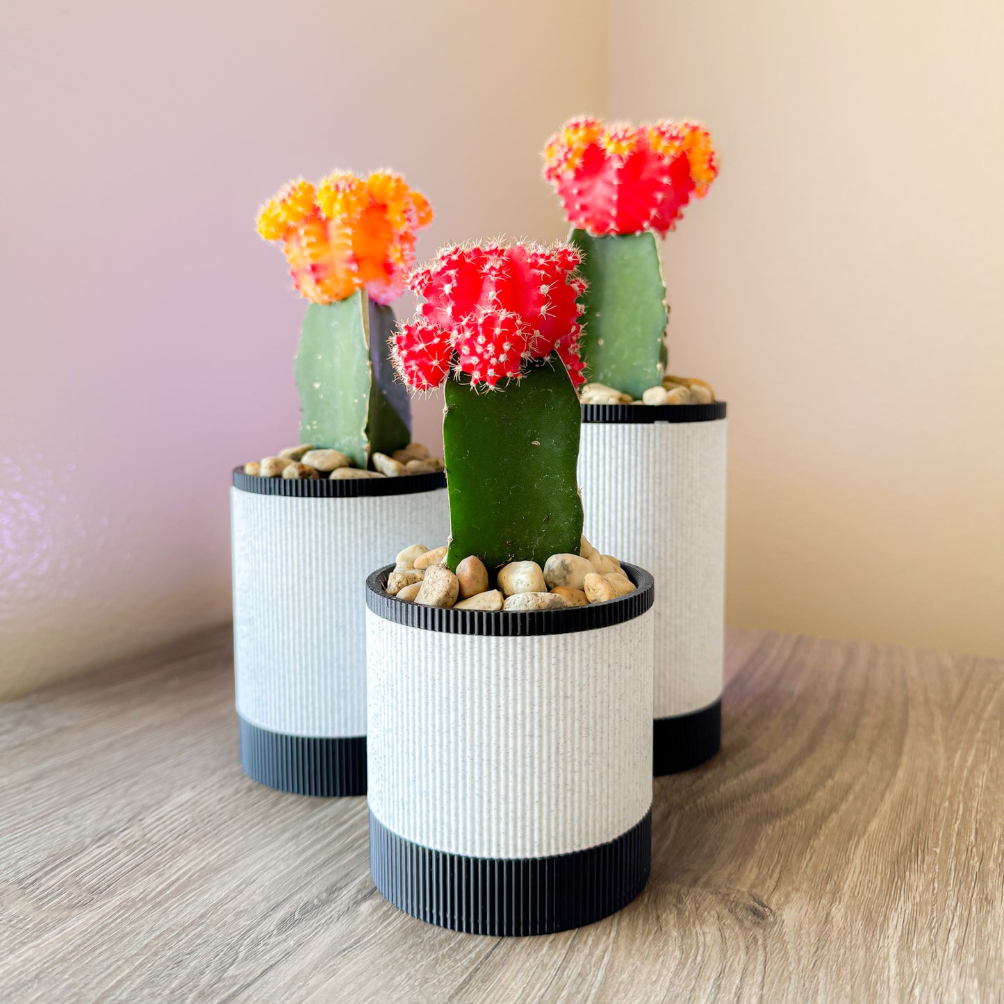 Mesa Succulent Planter Set - Marble/Black