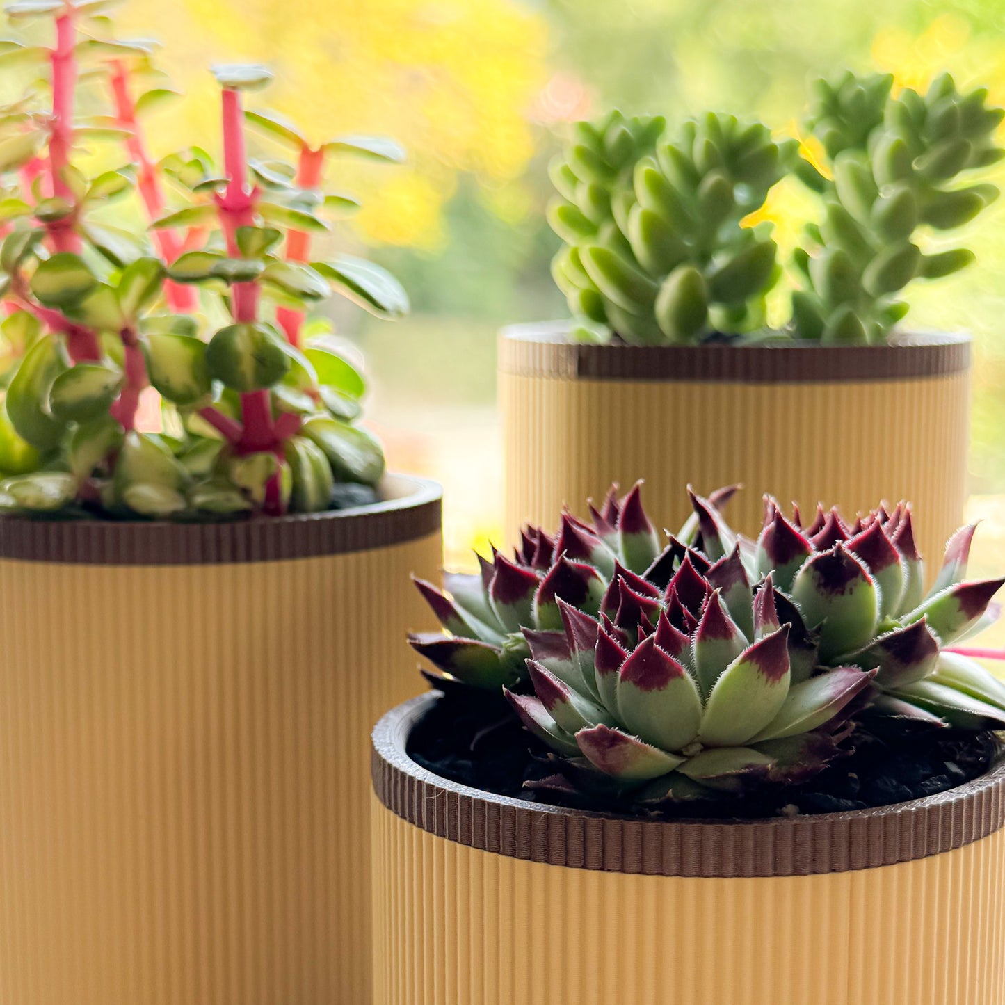 Mesa Succulent Planter Set - Brown/Bronze