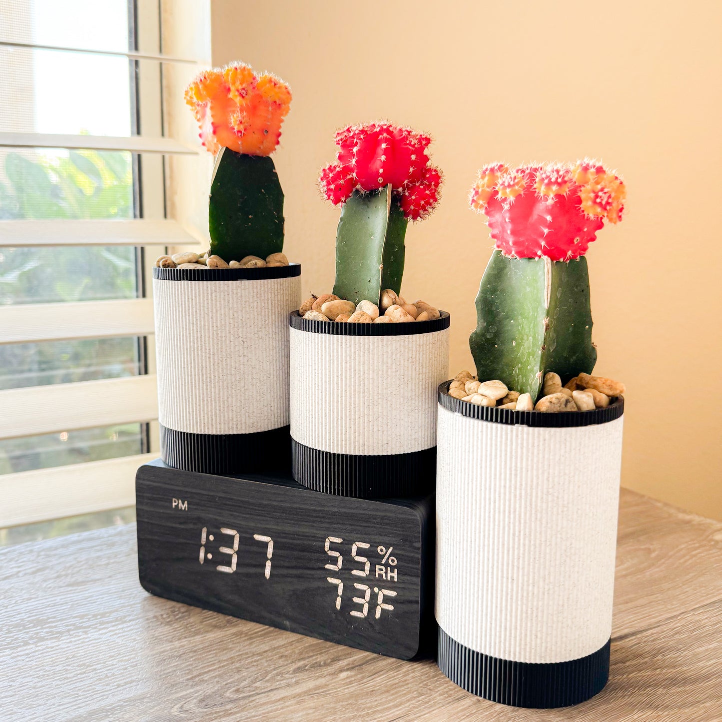 Mesa Succulent Planter Set - Marble/Black