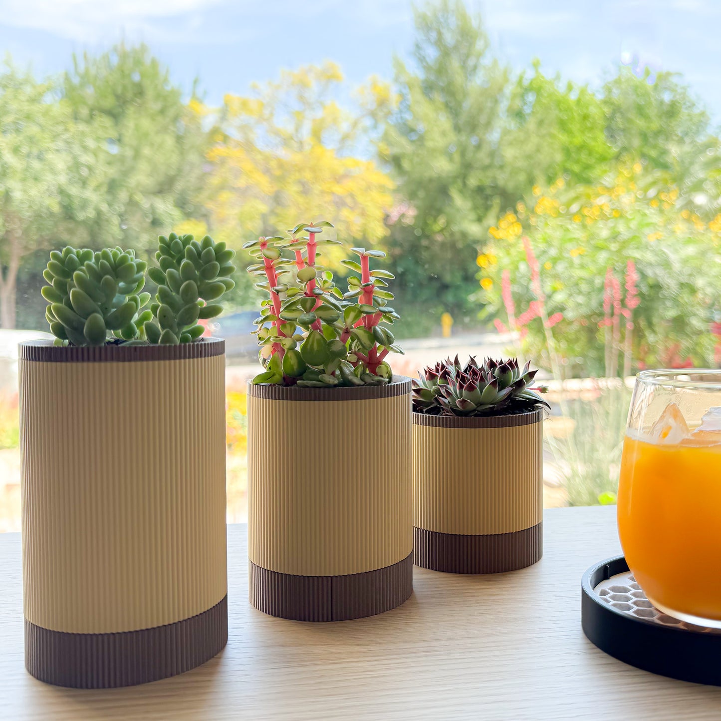 Mesa Succulent Planter Set - Brown/Bronze
